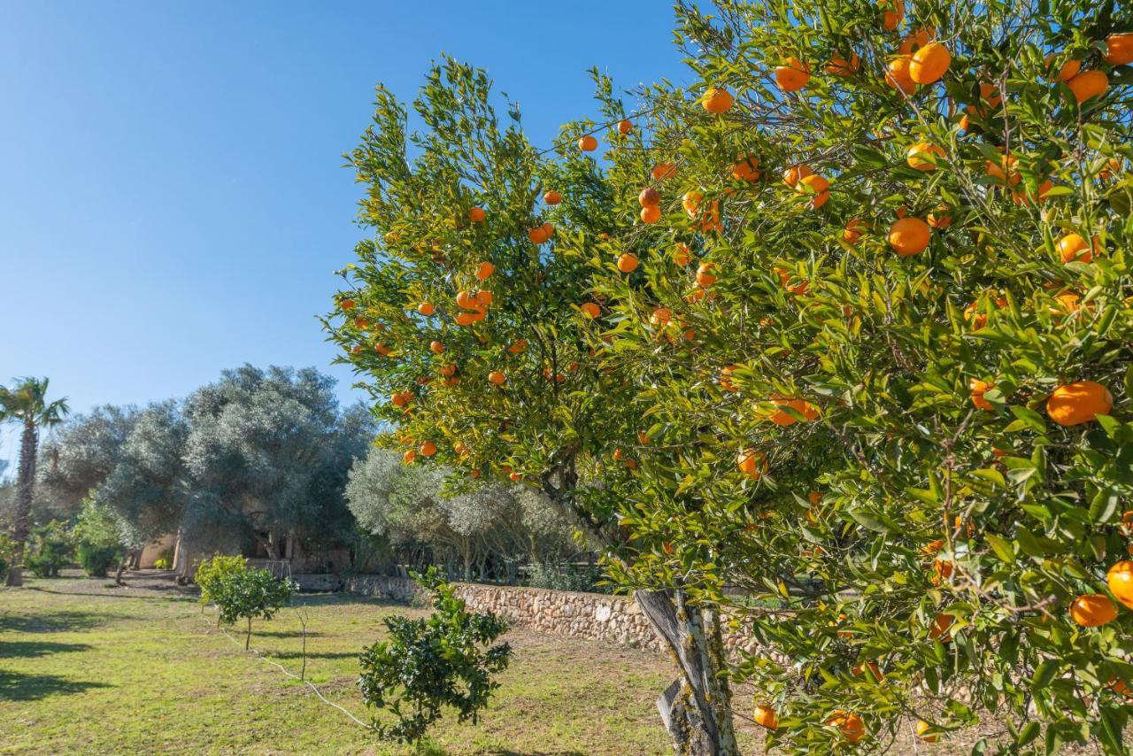 Villa Son Brun Manacor  Exterior foto